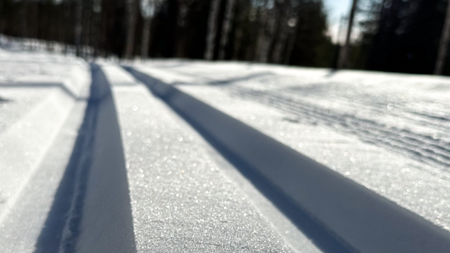 Bild som visar längdskidspår i närbild, med glittrig snö. Foto: Mari R. Nordstrand