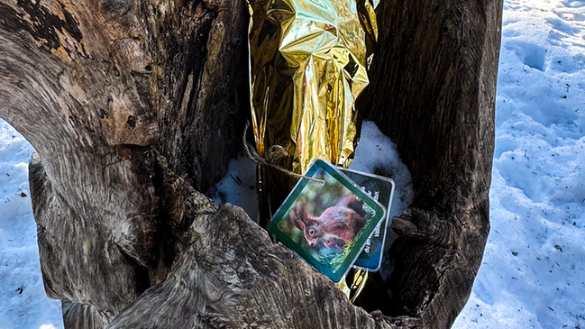 Bild som visar ett guldpaket gömt i en stubbe. Foto: Mari R. Nordstrand